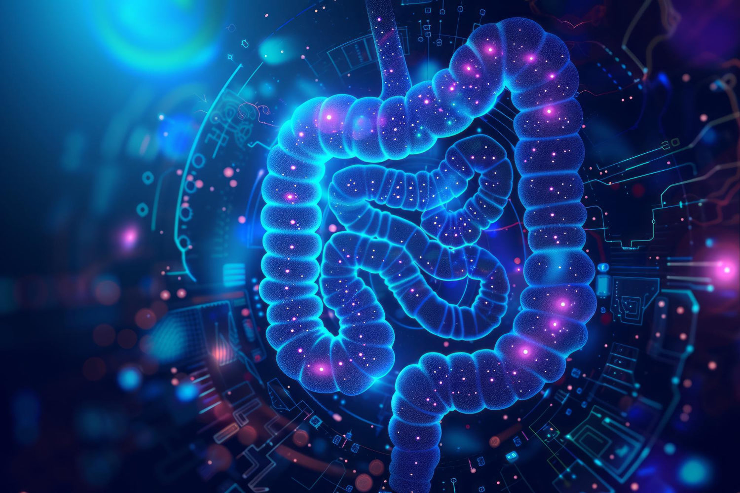 Gut-focused nutrition approach to support digestion, metabolism and overall health