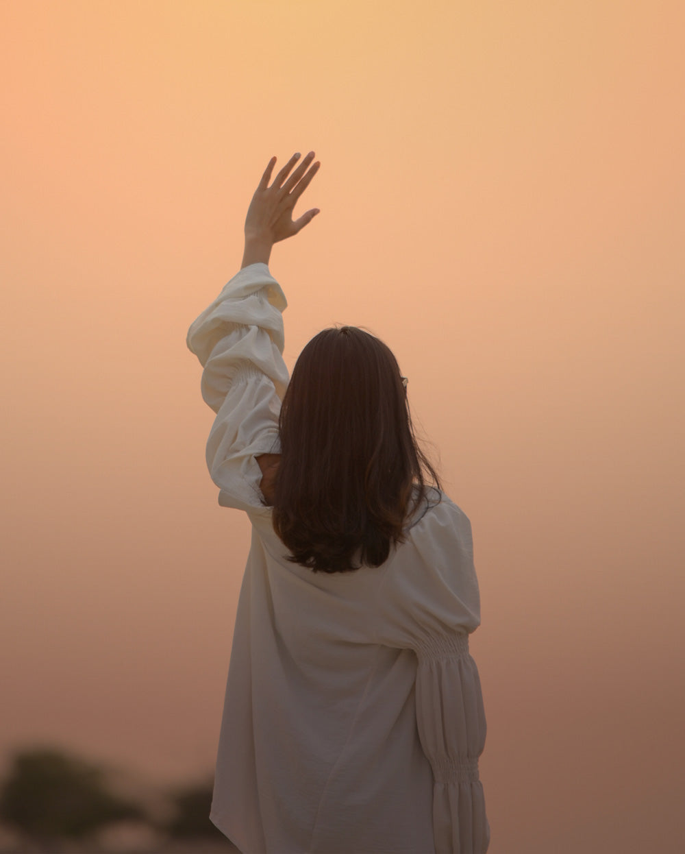 Support to break unhealthy habits and
reduce cravings with a structured lifestyle program in Malaysia