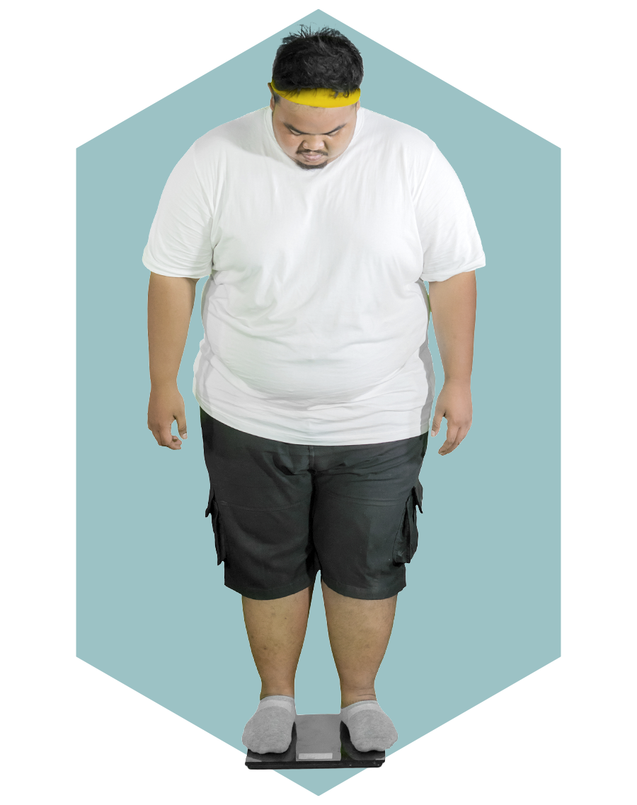 Sustainable weight management program
designed to support long-term fat loss and better health